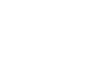 Valdivieso Group